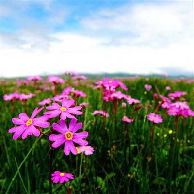 乐鱼体育app下载 - 乐鱼体育最新官方下载